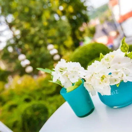 Hotel Boutique-hotel Anna 4*