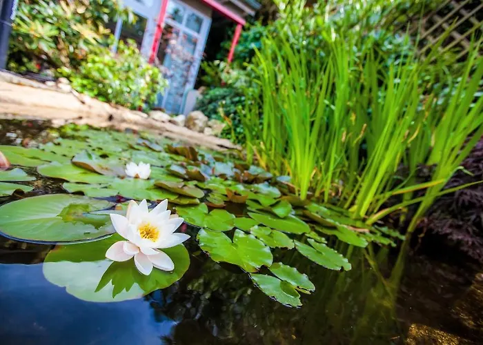 Hotel Boutique-hotel Anna 4*